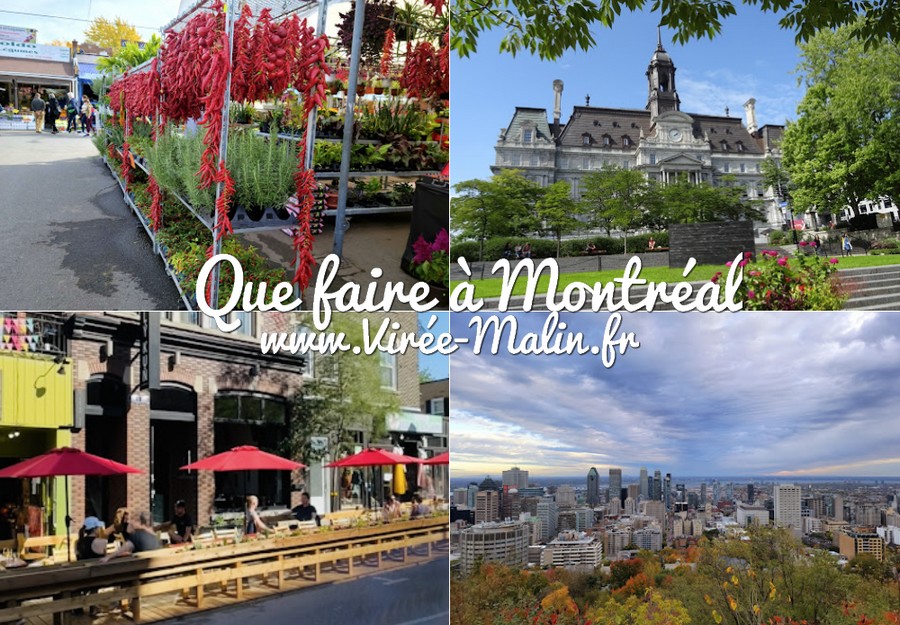 Comment aller à marché aux puces 5 etoiles à Montréal en Bus ?