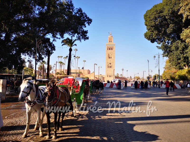 Où dormir à Marrakech, dans quel quartier loger à Marrakech